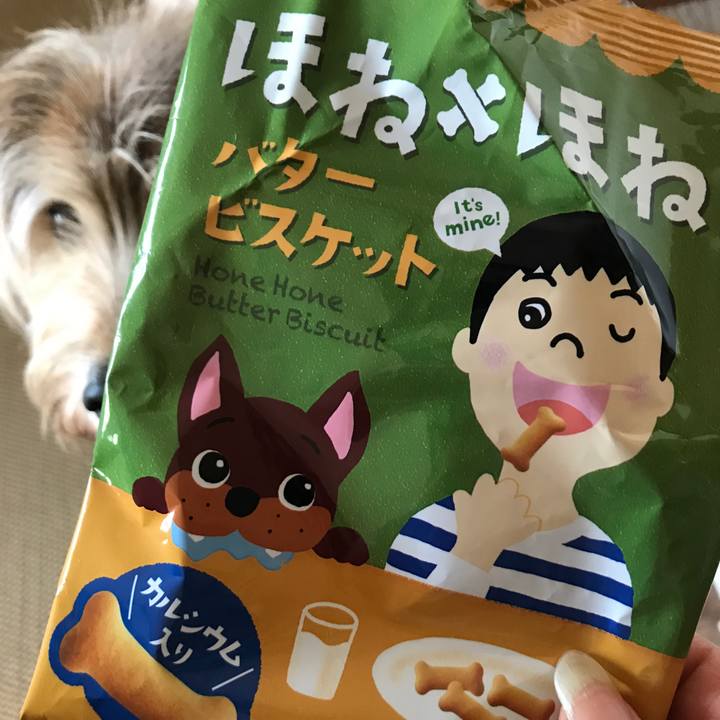 D27d4f81 13a0 4280 8c31 e35210f72a8b 1573191372047