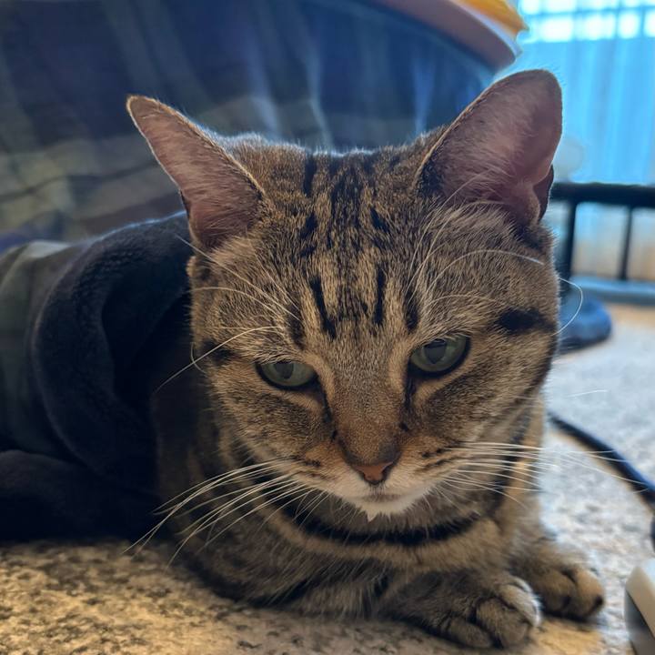 D27d8e32 1888 41c7 9138 448e7af8f5e6 1764139761754