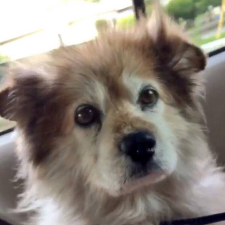 D27d9e17 ba96 4642 be03 03c1ffe826d1 1604724902490