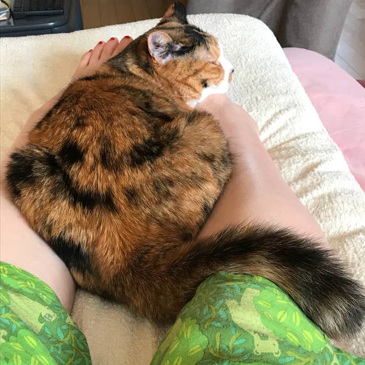 D27da627 6922 4d5c 82bc 4a0fd2758e5e 1535864012228