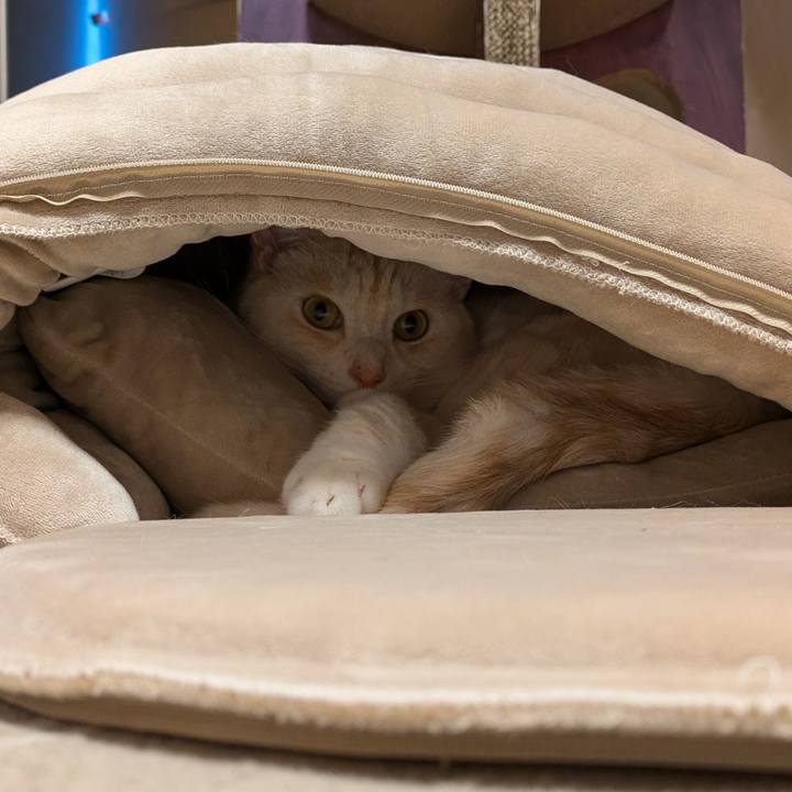 D27dcb5e 6bfb 4013 9b5e 1a85bcdbcd6c 1732605123834