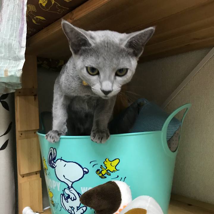 D27def86 84f4 4db1 a87c c8d5518910c1 1508336260812