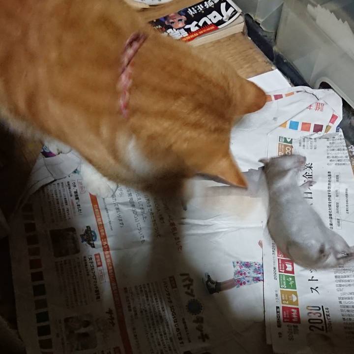 D27defff 89fe 45b2 9078 f069e0dd759d 1603199400628