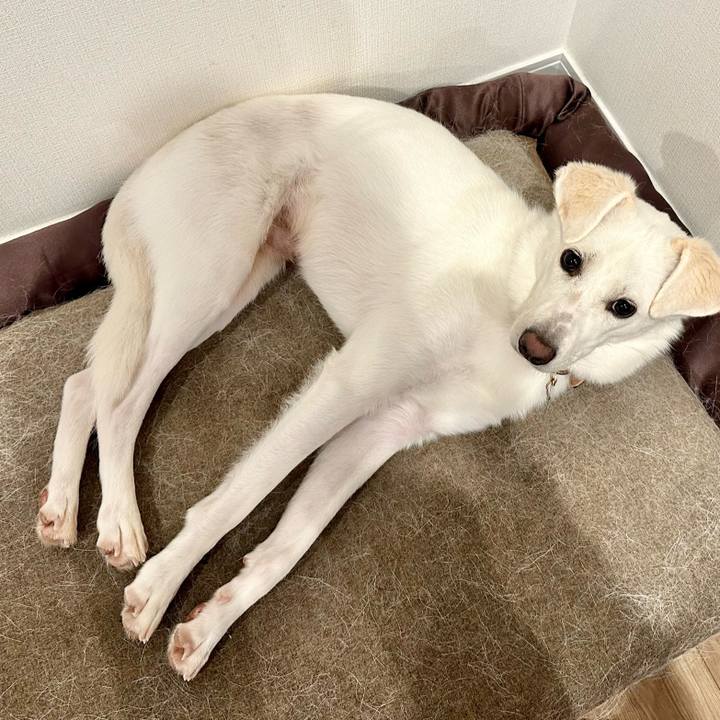 D27e30a0 2ab1 4fb2 bfe4 ad63ac596a49 1708009322128