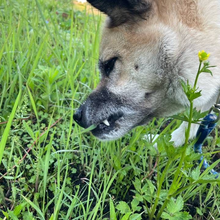 D27e31a7 11d5 4430 b5e0 195cdf4e0855 1656508261494