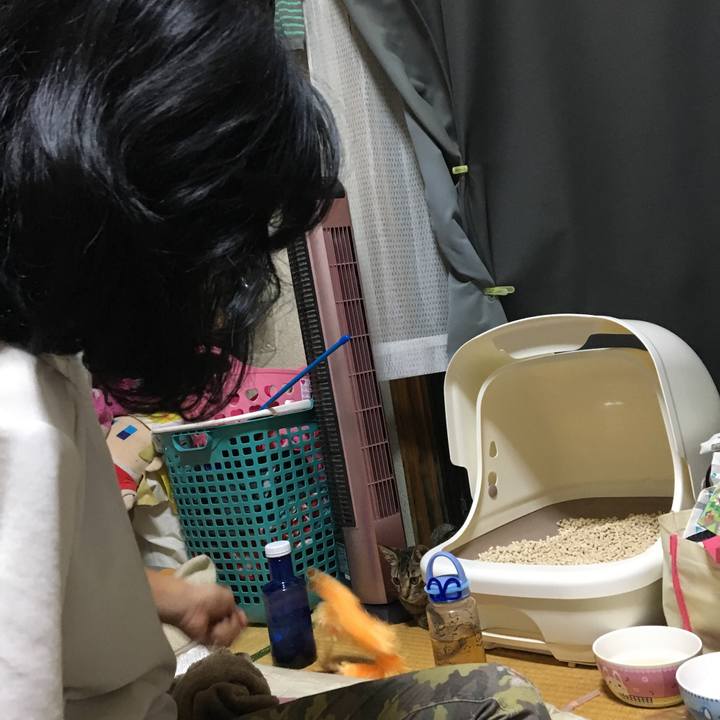 D27e80d8 0a95 46a4 b2c7 314e18c8cc7f 1537277143591