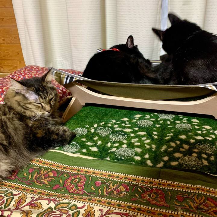 D27ec0fa d42f 40ea 966e 858f91c438b9 1682173557057