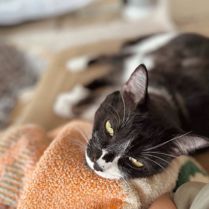 D27ec670 ce88 4c08 9cf1 9a0171f3f8b5 1763957561161