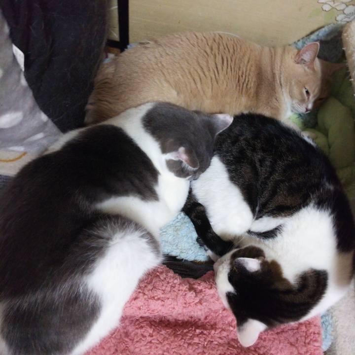 D27ecb03 139a 4cd4 9664 5c91882b2523 1544959772367