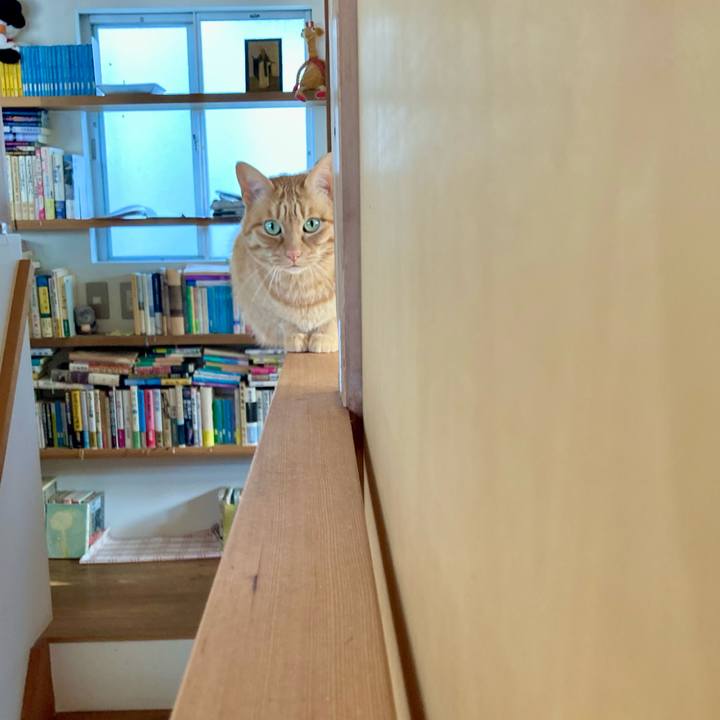 D27ef252 5e9a 44c7 8334 85a7049f4abf 1616457491177