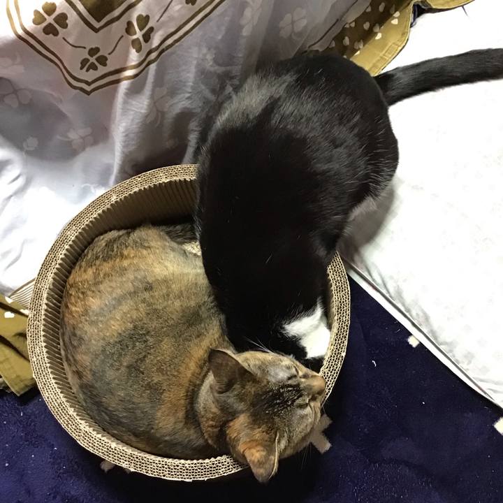 D27f4e5e 631d 42a3 b03a 25c4117810dd 1708682025076