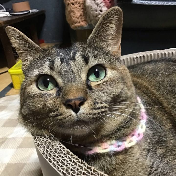 D27f7347 8e0d 4586 bb4d f593ba52034b 1699701262121