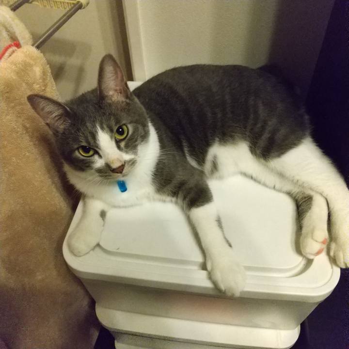 D27f7661 a4f1 41de 9a36 7833c52e53e1 1599918773358