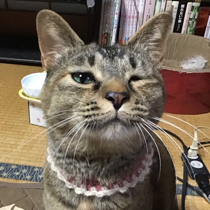 D27f77bf 357e 461c 8634 a9c9229a0fcb 1651138570404