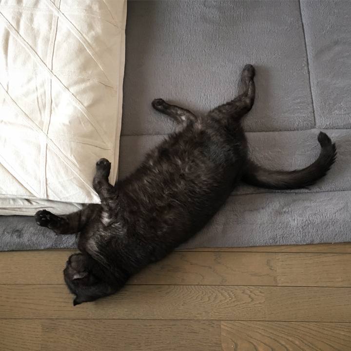 D27f97d7 efe8 4082 ac59 f86e54a70379 1567656088274