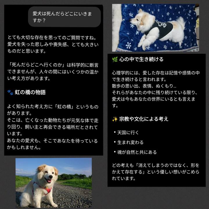 D27f9cc1 4236 468e b9b8 2999c9af01e5 1762168742838