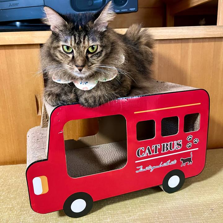 D27f9e5d f1f8 4fcf af0d f60d72d9ecc0 1727133797251