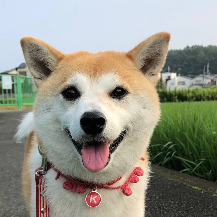 D2801ca4 120a 4248 96f6 8fdd5764b541 1564267673586