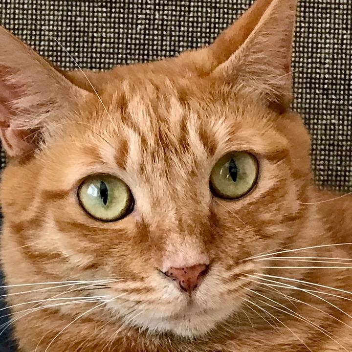 D2802ed3 4b18 475f 9c14 33966e897059 1536383684871