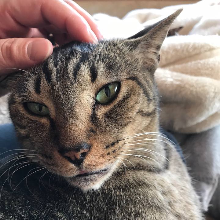 D28042f7 04e9 46c2 93ae 655a7732e0b6 1518571825599