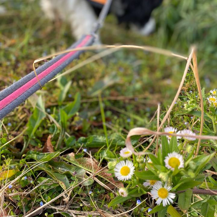 D2804dee d4f8 4d88 9414 481597a1bb0f 1613002894072