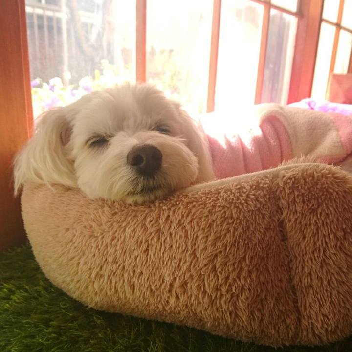 D28069da a515 43cd 8ea7 a68057c97530 1518684520275