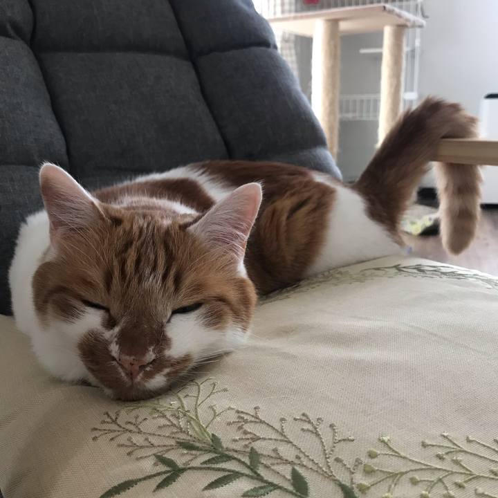 D28075df 6edd 4283 a76d 1dd39fe8f0d7 1624164344416