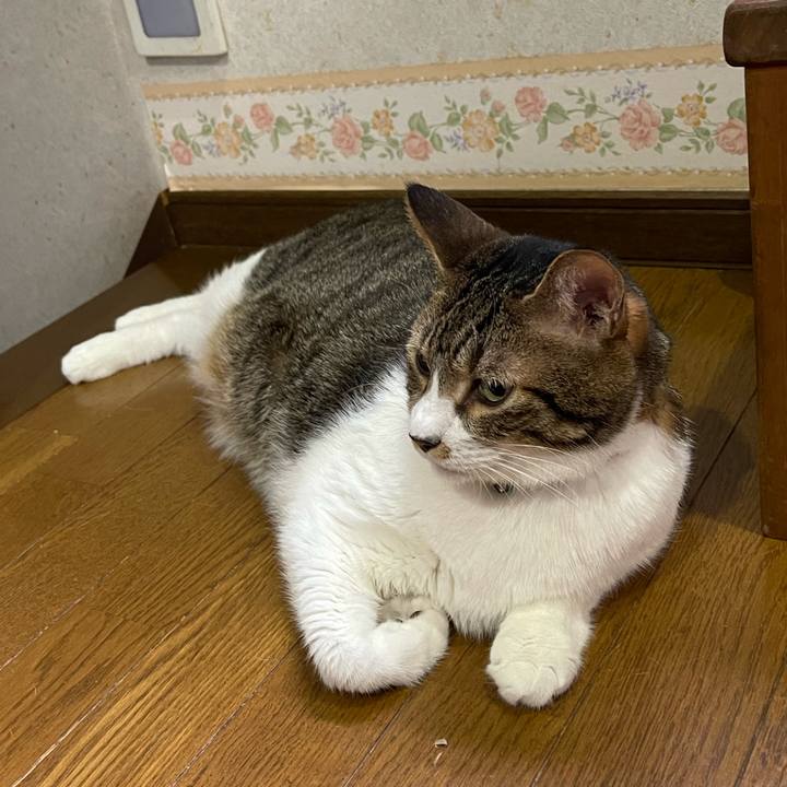 D2808578 5ee3 4681 b492 e2dc201766d4 1755125673334