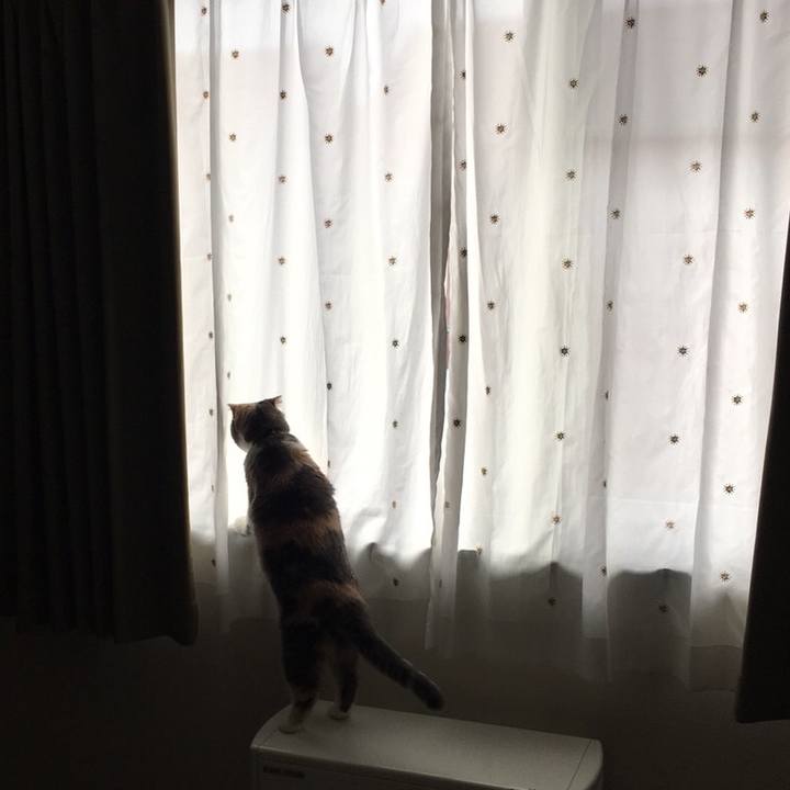 D280bbef 2016 4934 859b eded13164ef6 1538724593462