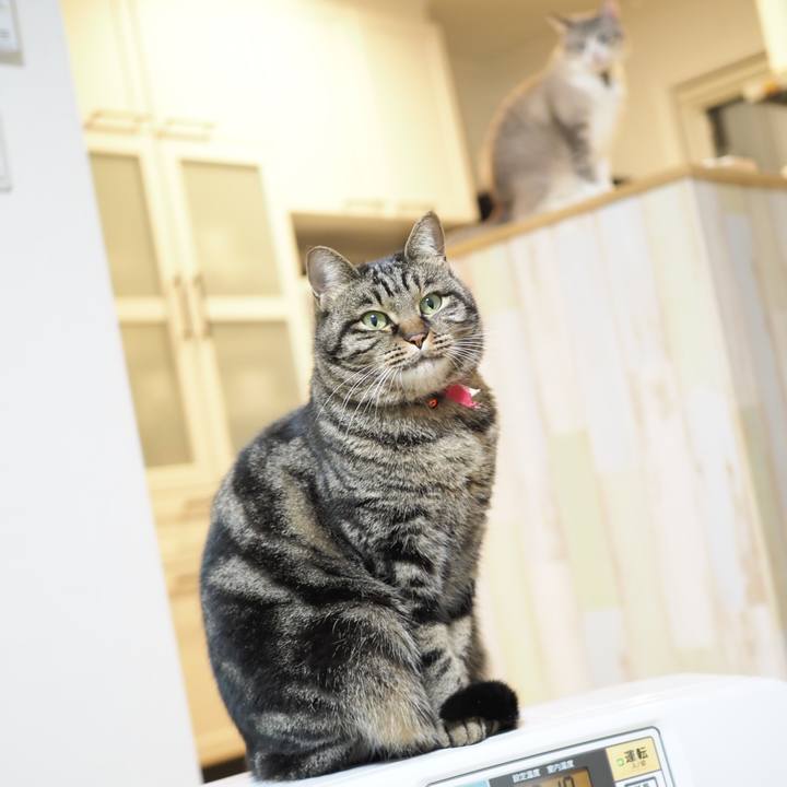 D28107c5 70eb 4115 bf15 c2a8d88d75f5 1607948121783