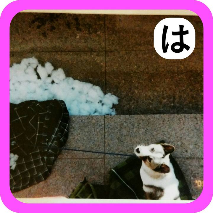 D28187bd e16a 442f 8993 3e4f1fa6df11 1515158762626