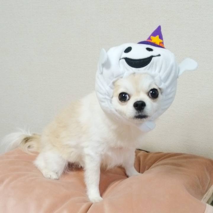 D281ae1a c4f8 4d6b 9107 f3cd26b1ee6a 1699805107480