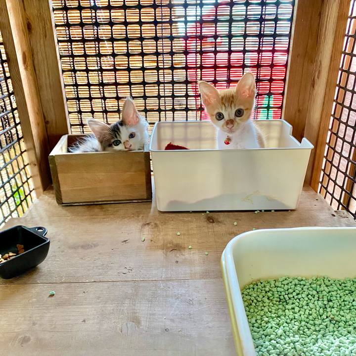 D281d981 5f92 47ba ae29 dfbdf5c494bf 1629961611095