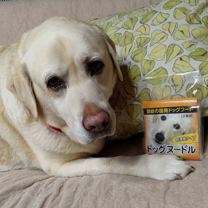 D28235b5 bae4 4705 a124 352ed7db79ea 1714378759883