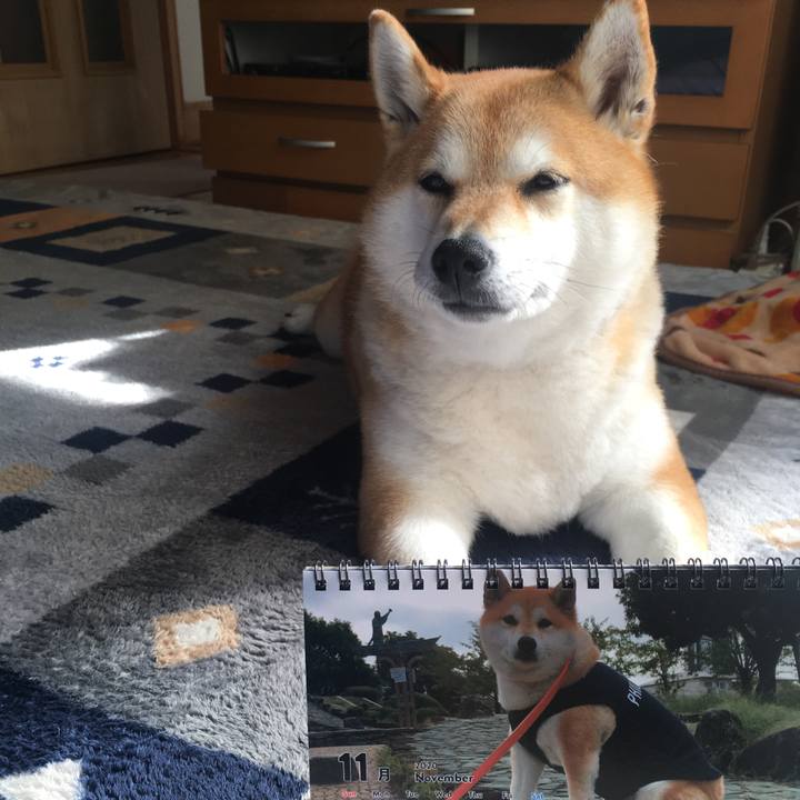 D2824222 226a 4b6f 9eb9 eeadfcccdd47 1604217056646