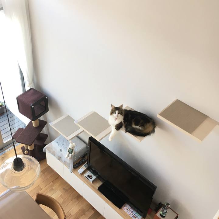 D28242a6 133b 4ac7 bc9a 34159a36d49a 1517708236613