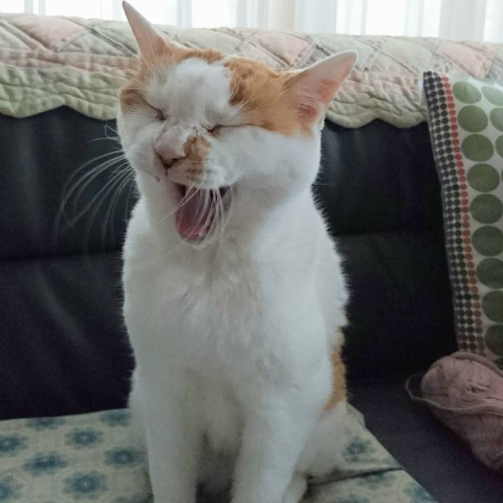 D2824ecb b818 478d b323 465a4fe07b81 1611929661197