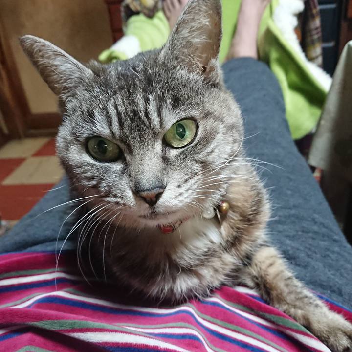 D282a0b0 98b3 45e5 b48e 5ee27b7b239b 1583055176018