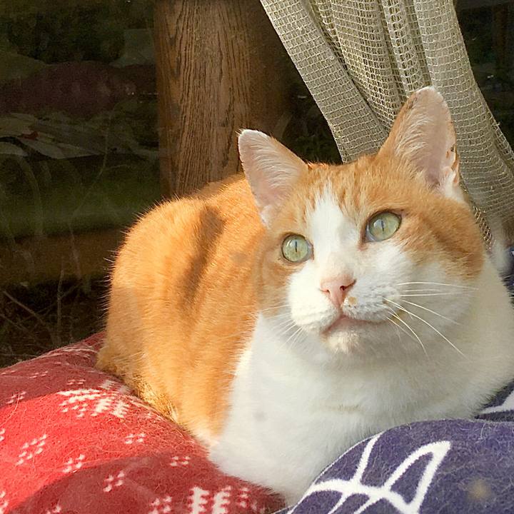 D282af07 45e4 415a 8059 f0ea540b8157 1585819887131