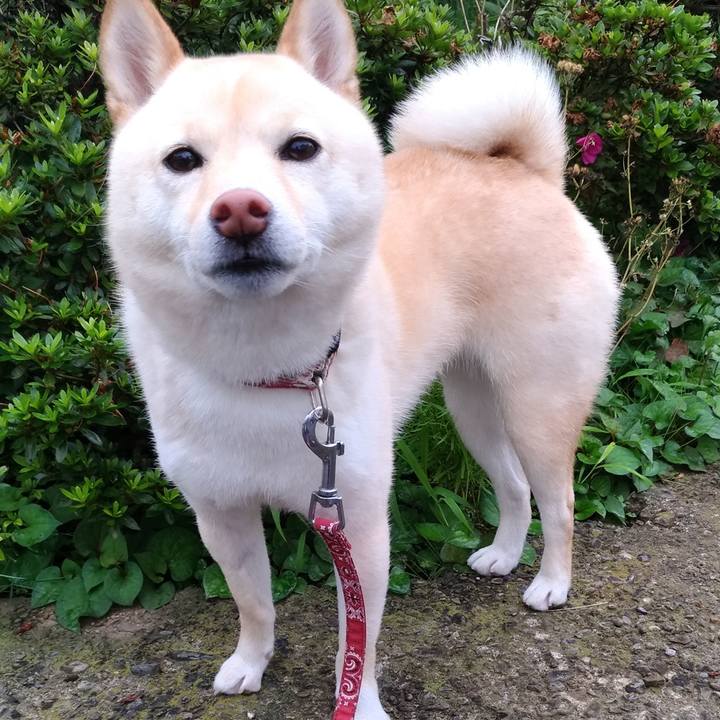 D282e287 b0e7 4d10 8fff df423349e7fb 1562835076930