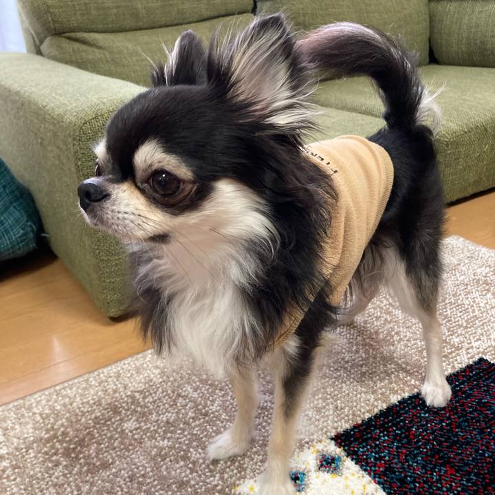 D2836548 2159 4808 9518 6dd3c0c4945f 1680966228832