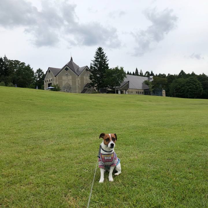 D2838815 960a 4bd2 be29 ddbe24f103aa 1566883467490