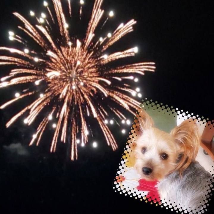 D283a794 e0f3 4d42 b92d fd975787ab89 1565586153637