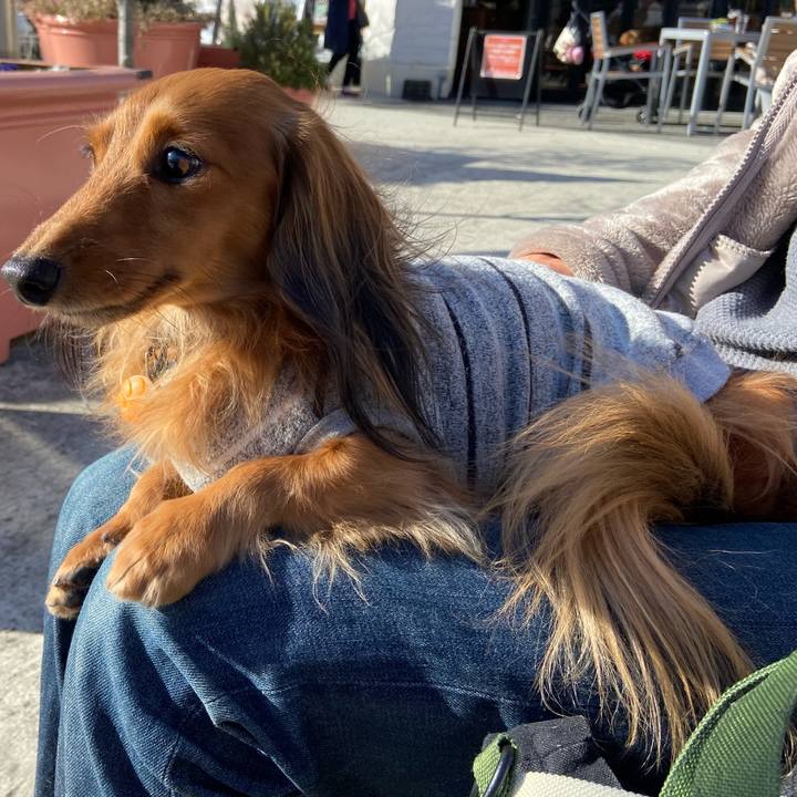 D283b5a0 2f2b 4acd 9aa8 985e91132284 1641401153176