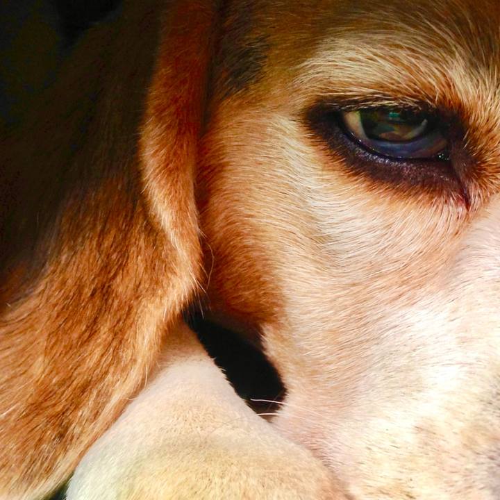 D283d35f a9e0 4a68 9bbd 84d83b4da9e4 1754190415486