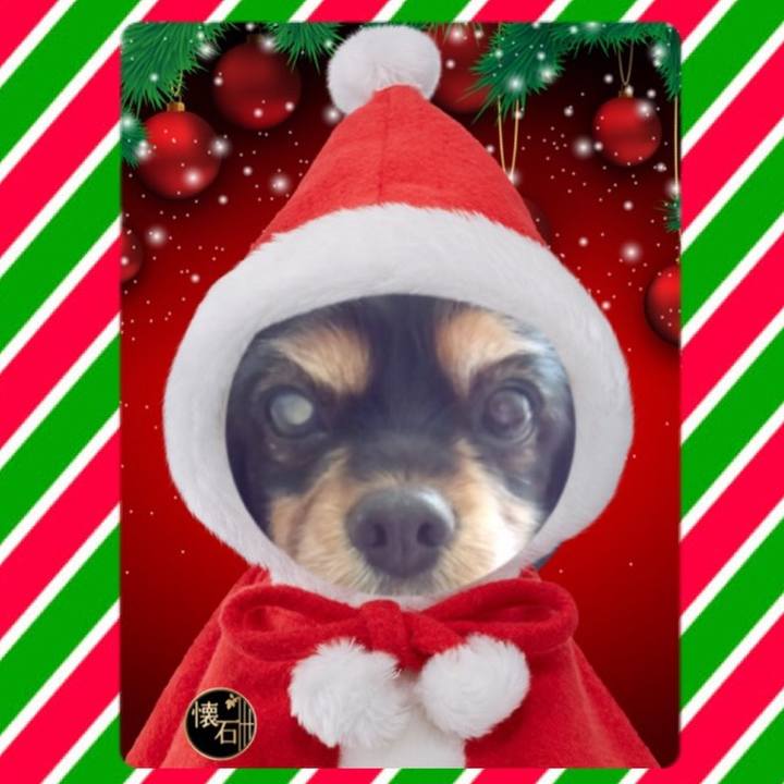 D284aaa7 bd66 46ac 98ab eddd25702839 1512048587004