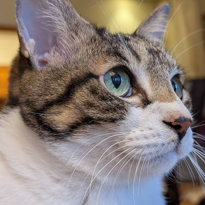 D284cdd7 02ff 4328 b822 b6b9a05a88b3 1766789913974