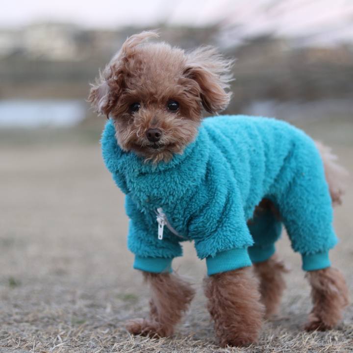 D284d944 d606 437d 924c 6839017ebdcb 1588592650570