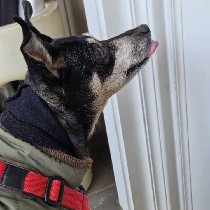 D2854161 8d8f 42fe 8e60 fc0df37a1ce0 1765590026043