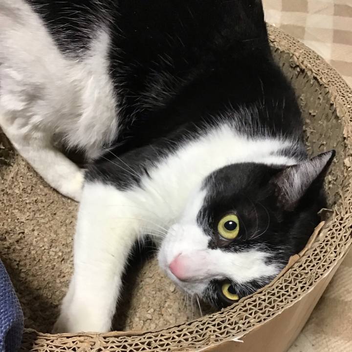 D2855bf0 7ddc 4344 9874 1c5d839f0333 1741246658344